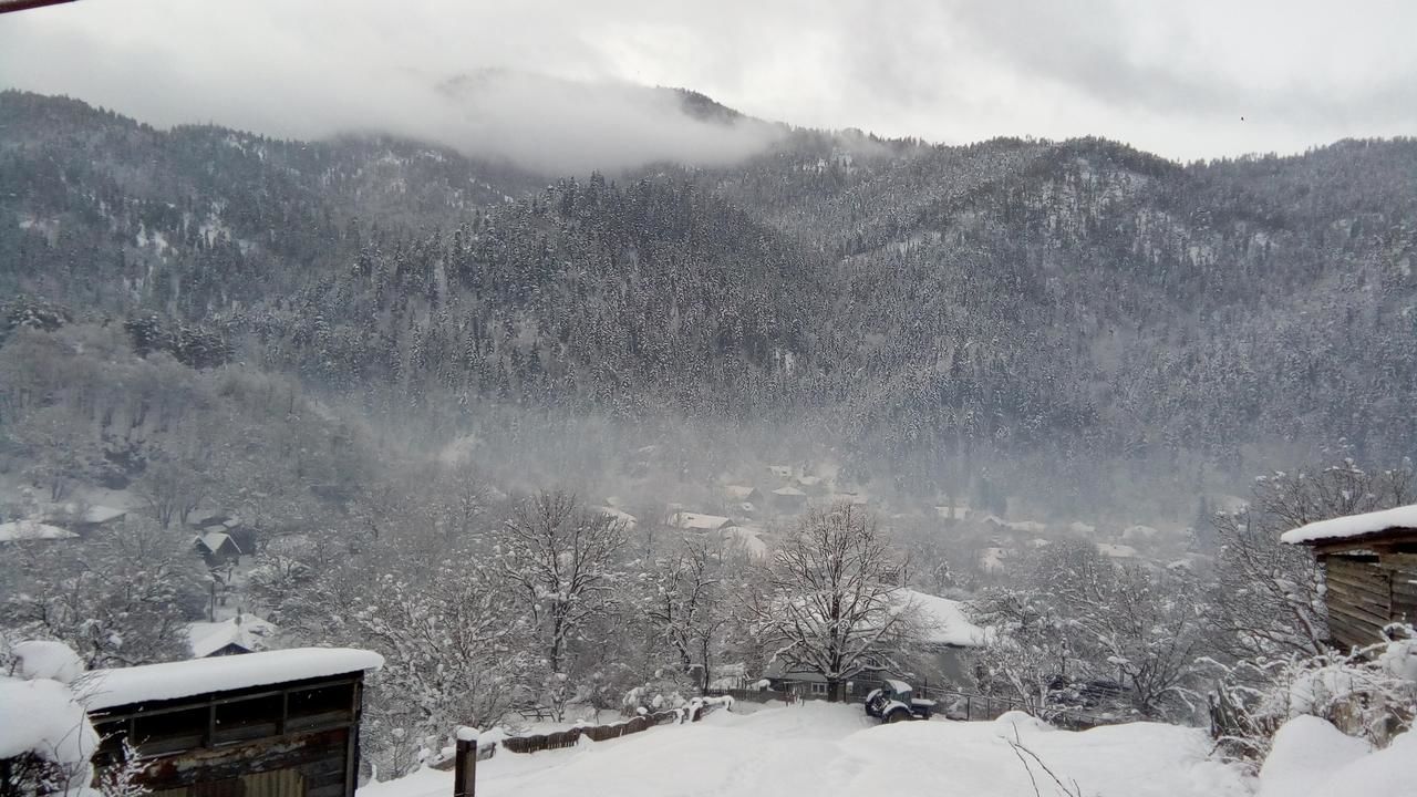 Гостевой дом Guest House Tsagveri Tsaghveri-33